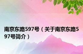 南京东路597号（关于南京东路597号简介）