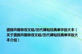 唐颜真卿祭侄文稿/历代碑帖经典单字放大本（关于唐颜真卿祭侄文稿/历代碑帖经典单字放大本介绍）