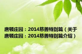 唐顿庄园：2014慈善特别篇（关于唐顿庄园：2014慈善特别篇介绍）