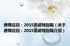 唐顿庄园：2015圣诞特别篇（关于唐顿庄园：2015圣诞特别篇介绍）