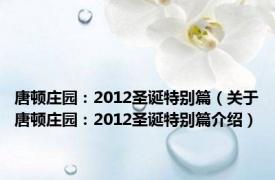 唐顿庄园：2012圣诞特别篇（关于唐顿庄园：2012圣诞特别篇介绍）