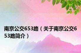 南京公交653路（关于南京公交653路简介）