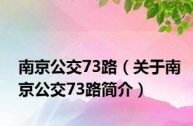 南京公交73路（关于南京公交73路简介）