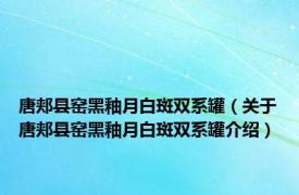 唐郏县窑黑釉月白斑双系罐（关于唐郏县窑黑釉月白斑双系罐介绍）