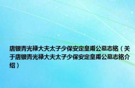 唐银青光禄大夫太子少保安定皇甫公墓志铭（关于唐银青光禄大夫太子少保安定皇甫公墓志铭介绍）