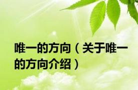 唯一的方向（关于唯一的方向介绍）