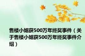 售楼小姐获500万年终奖事件（关于售楼小姐获500万年终奖事件介绍）