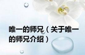 唯一的师兄（关于唯一的师兄介绍）