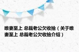 唯妻至上 总裁老公欠收拾（关于唯妻至上 总裁老公欠收拾介绍）