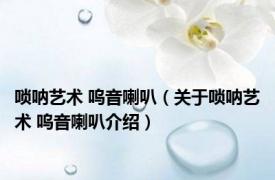 唢呐艺术 呜音喇叭（关于唢呐艺术 呜音喇叭介绍）