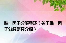 唯一因子分解整环（关于唯一因子分解整环介绍）