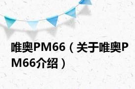 唯奥PM66（关于唯奥PM66介绍）