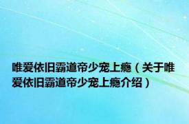 唯爱依旧霸道帝少宠上瘾（关于唯爱依旧霸道帝少宠上瘾介绍）