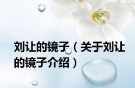 刘让的镜子（关于刘让的镜子介绍）