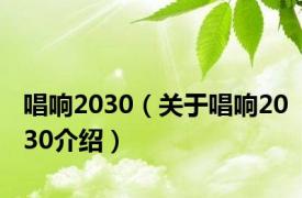 唱响2030（关于唱响2030介绍）