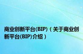 商业创新平台(BIP)（关于商业创新平台(BIP)介绍）