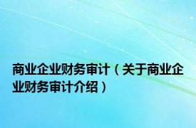 商业企业财务审计（关于商业企业财务审计介绍）