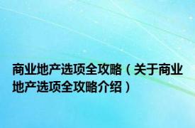 商业地产选项全攻略（关于商业地产选项全攻略介绍）