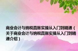 商业会计与纳税真账实操从入门到精通（关于商业会计与纳税真账实操从入门到精通介绍）