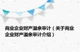 商业企业财产溢余审计（关于商业企业财产溢余审计介绍）