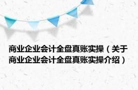 商业企业会计全盘真账实操（关于商业企业会计全盘真账实操介绍）