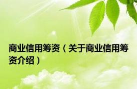 商业信用筹资（关于商业信用筹资介绍）