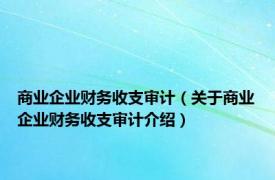 商业企业财务收支审计（关于商业企业财务收支审计介绍）