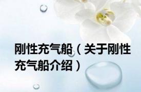 刚性充气船（关于刚性充气船介绍）