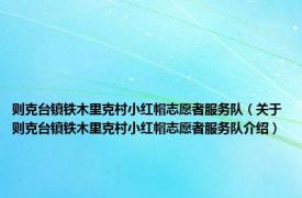 则克台镇铁木里克村小红帽志愿者服务队（关于则克台镇铁木里克村小红帽志愿者服务队介绍）