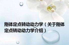 刚体定点转动动力学（关于刚体定点转动动力学介绍）