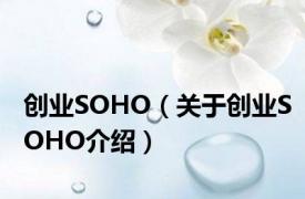 创业SOHO（关于创业SOHO介绍）