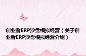 创业者ERP沙盘模拟经营（关于创业者ERP沙盘模拟经营介绍）