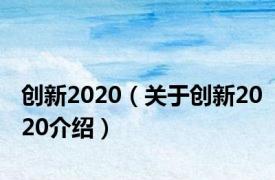 创新2020（关于创新2020介绍）