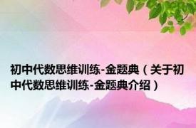 初中代数思维训练-金题典（关于初中代数思维训练-金题典介绍）