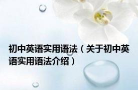 初中英语实用语法（关于初中英语实用语法介绍）