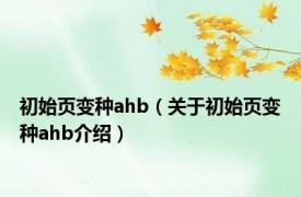 初始页变种ahb（关于初始页变种ahb介绍）