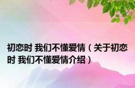 初恋时 我们不懂爱情（关于初恋时 我们不懂爱情介绍）