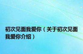 初次见面我爱你（关于初次见面我爱你介绍）