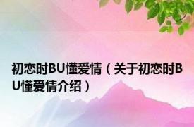 初恋时BU懂爱情（关于初恋时BU懂爱情介绍）