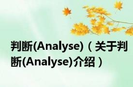 判断(Analyse)（关于判断(Analyse)介绍）