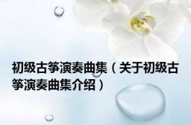 初级古筝演奏曲集（关于初级古筝演奏曲集介绍）