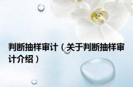 判断抽样审计（关于判断抽样审计介绍）