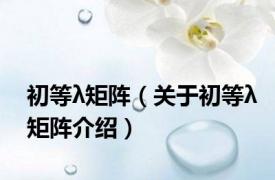 初等λ矩阵（关于初等λ矩阵介绍）