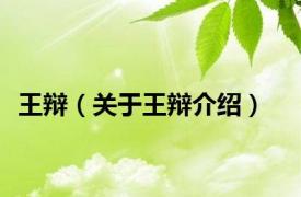 王辩（关于王辩介绍）