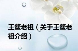 王鳌老祖（关于王鳌老祖介绍）