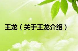 王龙（关于王龙介绍）