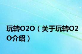 玩转O2O（关于玩转O2O介绍）