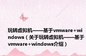 玩转虚拟机——基于vmware+windows（关于玩转虚拟机——基于vmware+windows介绍）