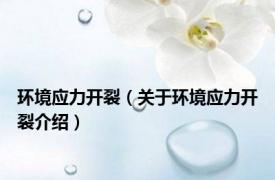 环境应力开裂（关于环境应力开裂介绍）