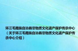 环江毛南族自治县非物质文化遗产保护传承中心（关于环江毛南族自治县非物质文化遗产保护传承中心介绍）